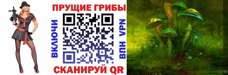 Псилоцибиновые грибы Psilocybine cubensis  Купить  Красновишерск 